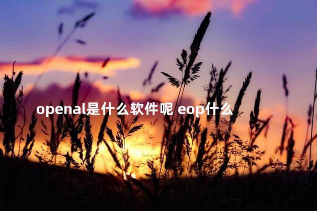 openal是什么软件呢 eop什么意思